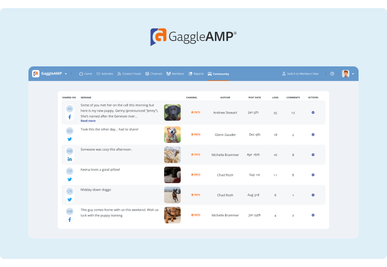How to Craft a Winning Employee Engagement Strategy [With Examples]
